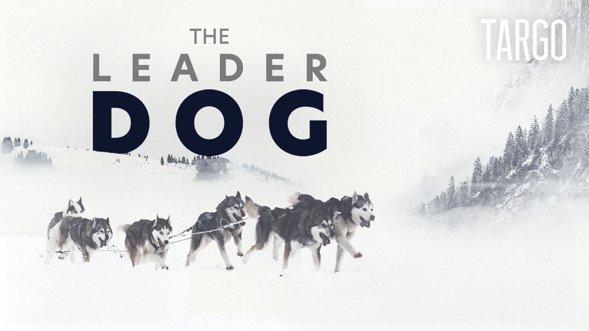 Watch in 360°: Dog-racing across the French Alps | TARGO