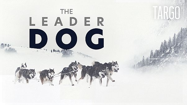 Watch in 360°: Dog-racing across the French Alps | TARGO Watch in 360°: Dog-racing across the French Alps | TARGO