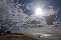 Másfél tonna szemetet gyűjtöttek össze a belga tengerparton