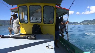 Traditional fishing employs 17% of the Seychelles' population