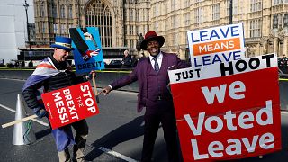 Anti-Brexit and pro-Brexit protesters outside the UK Houses of Parliament