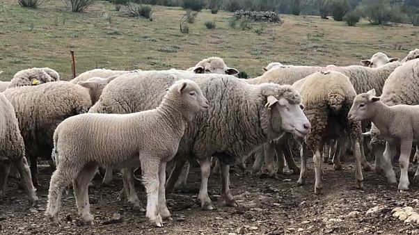 Kein Bock auf Politik: „Verschwenden unsere Zeit mit Dummheiten" Kein Bock auf Politik: „Verschwenden unsere Zeit mit Dummheiten"