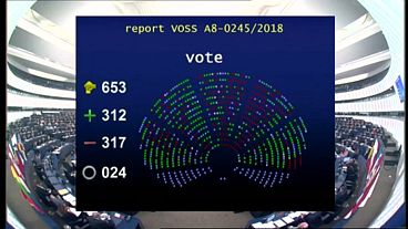 MEPs back divisive EU copyright overhaul