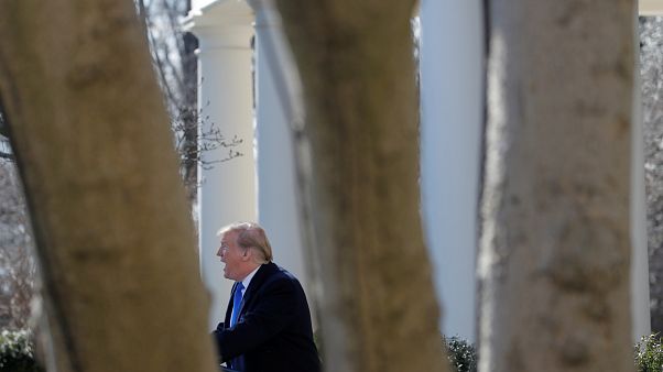 Pentagon gibt 1 Mrd. Dollar für Trumps Grenzmauer Pentagon gibt 1 Mrd. Dollar für Trumps Grenzmauer