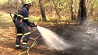 Extinguido el incendio de Rianxo tras quemar más de 850 hectáreas