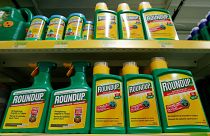 Nuevo varapalo judicial para Monsanto: deberá pagar 80 millones a un jubilado enfermo de cáncer