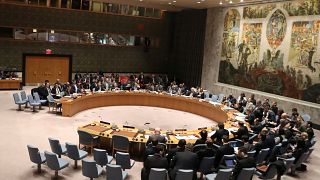 BM Güvenlik Konseyi toplantısı
