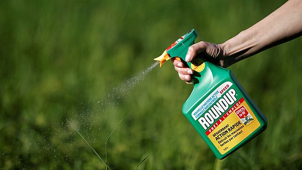 Rákkeltő szer miatt fizethet kártérítést a Monsanto Rákkeltő szer miatt fizethet kártérítést a Monsanto