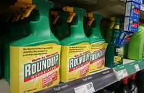 Tarım ilacı üreticisi Monsanto'ya kansere sebep olduğu gerekçesiyle 80 milyon dolar ceza