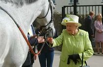 Queen Elizabeth II. füttert Pferde