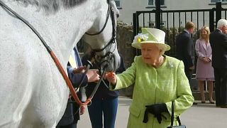 شاهد: الملكة إليزابث تطعم خيولاً في جولة في اسطبلات في سومرست