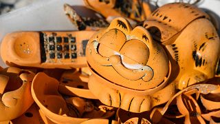 Locals solve mystery of Garfield phones washing up on French beach for 30 years