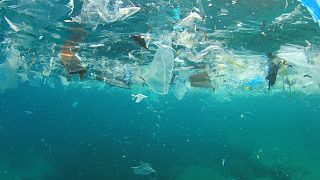 Avrupa 2021 yılından itibaren tek kullanımlık plastik ürünleri yasaklıyor