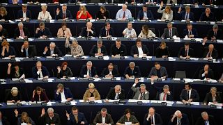EP-választások: kihez csatlakoznak az újoncok?