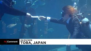 Giappone: sott'acqua e in abito per il benvenuto a tre nuovi dipendenti