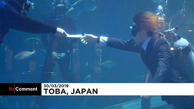 Giappone: sott'acqua e in abito per il benvenuto a tre nuovi dipendenti