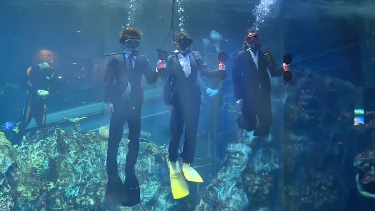 Aquarium begrüßt neue Angestellte mit einer Unterwasser-Zeremonie