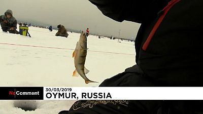 Russia: gara di pesca sul lago ghiacciato