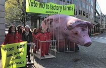 Greenpeace contra subsídios europeus à agroindústria