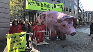 Greenpeace-Protest gegen EU-Agrarreform