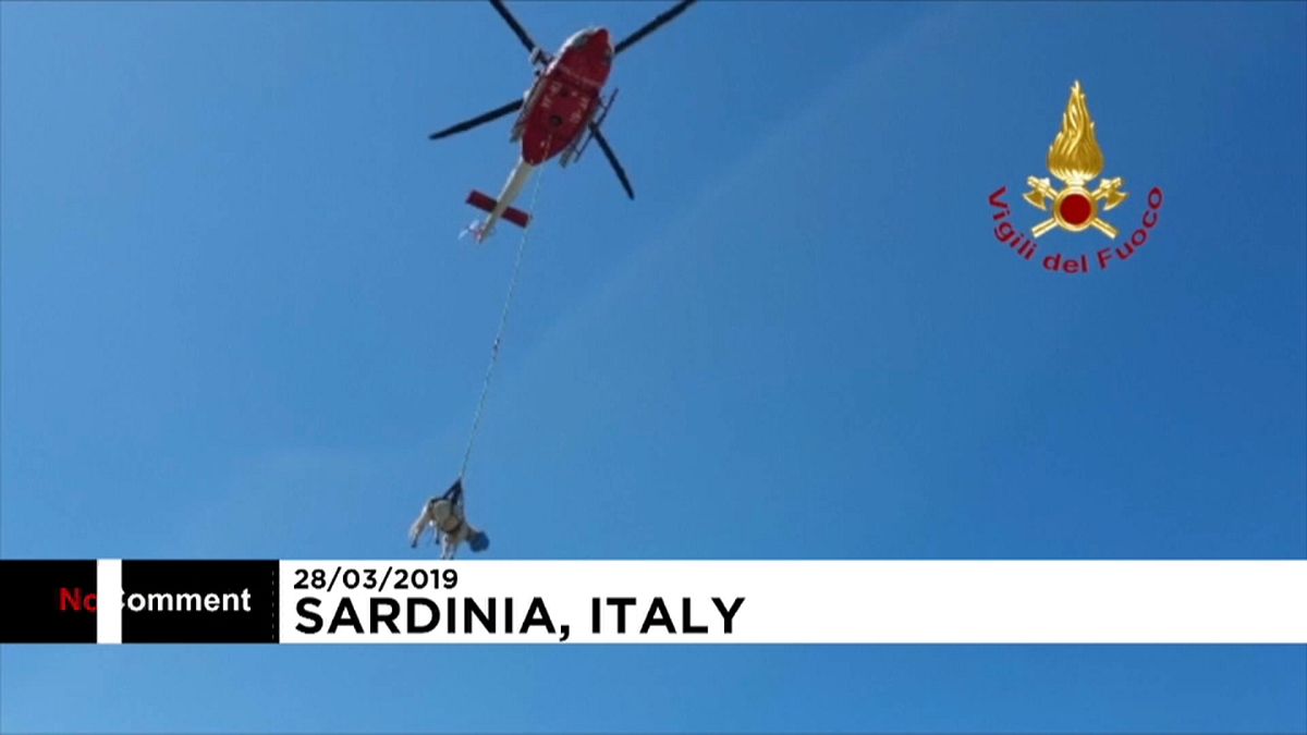 Udderly petrifying: Helicopter rescues stranded cow in Italy