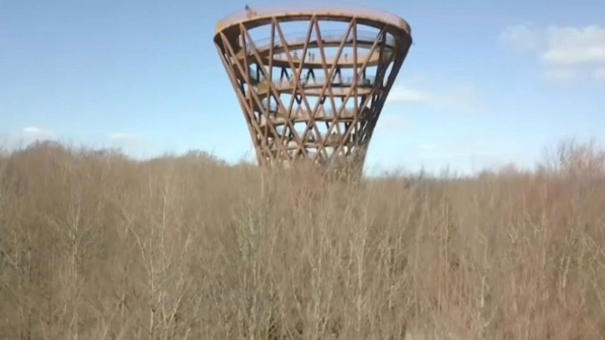 Sustainable 45-metre observation towers opens in Denmark