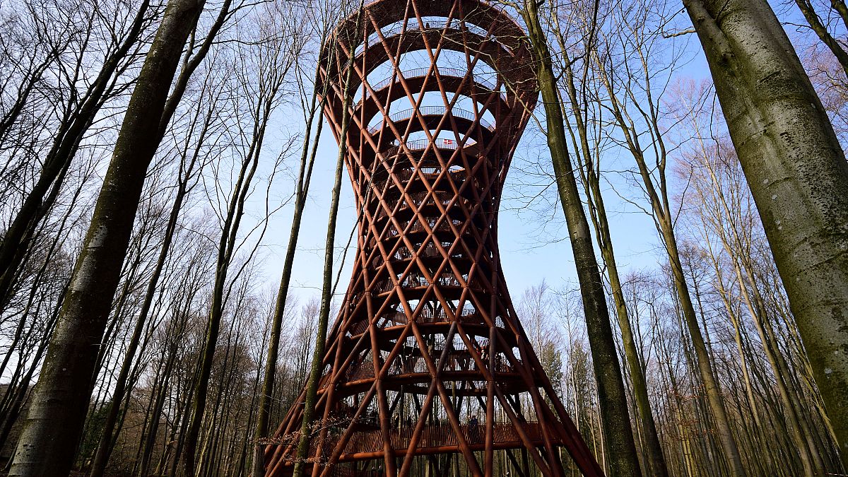 Dinamarca inaugura su torre 'eco-friendly' de 45 metros de altura en medio de un bosque