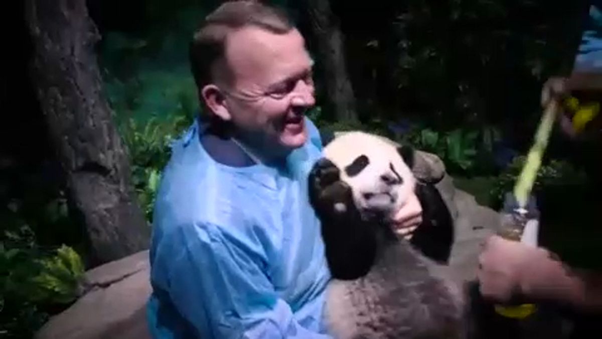 Kínai-dán pandadiplomácia
