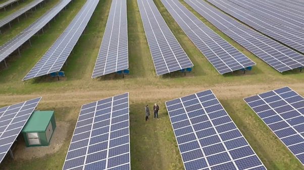 Energiewende ja, aber nicht auf Kosten der Natur Energiewende ja, aber nicht auf Kosten der Natur