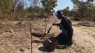 Malanje e Huambo vão ser declaradas livres de minas terrestres