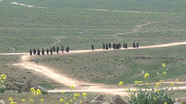 IS-Kämpfern droht zukünftig Passentzug IS-Kämpfern droht zukünftig Passentzug