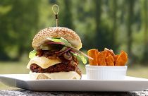 Fancy a veggie disc? MEPs back burger ban for plant-based foods