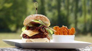 Fancy a veggie disc? MEPs back burger ban for plant-based foods