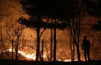 Лесные пожары у олимпийского Пхёнчхана