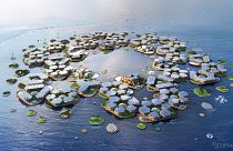 These floating cities could be your future home