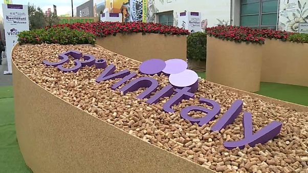 Arranca Vinitaly, la mayor feria del vino del mundo Arranca Vinitaly, la mayor feria del vino del mundo