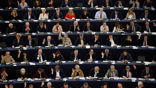 What does the European Parliament do?