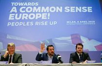 Elections européennes : Matteo Salvini veut lancer une alliance souverainiste