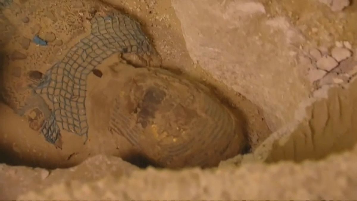 شاهد: اكتشاف مومياء كاهن عمرها 2500 سنة في مصر 