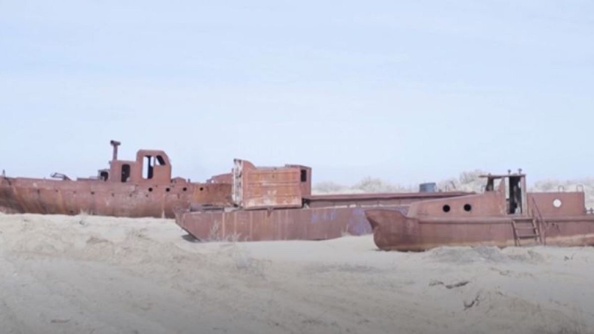 Plantar árboles para salvar el Mar de Aral, la peculiar iniciativa de unos estudiantes uzbekos