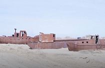 Plantar árboles para salvar el Mar de Aral, la peculiar iniciativa de unos estudiantes uzbekos