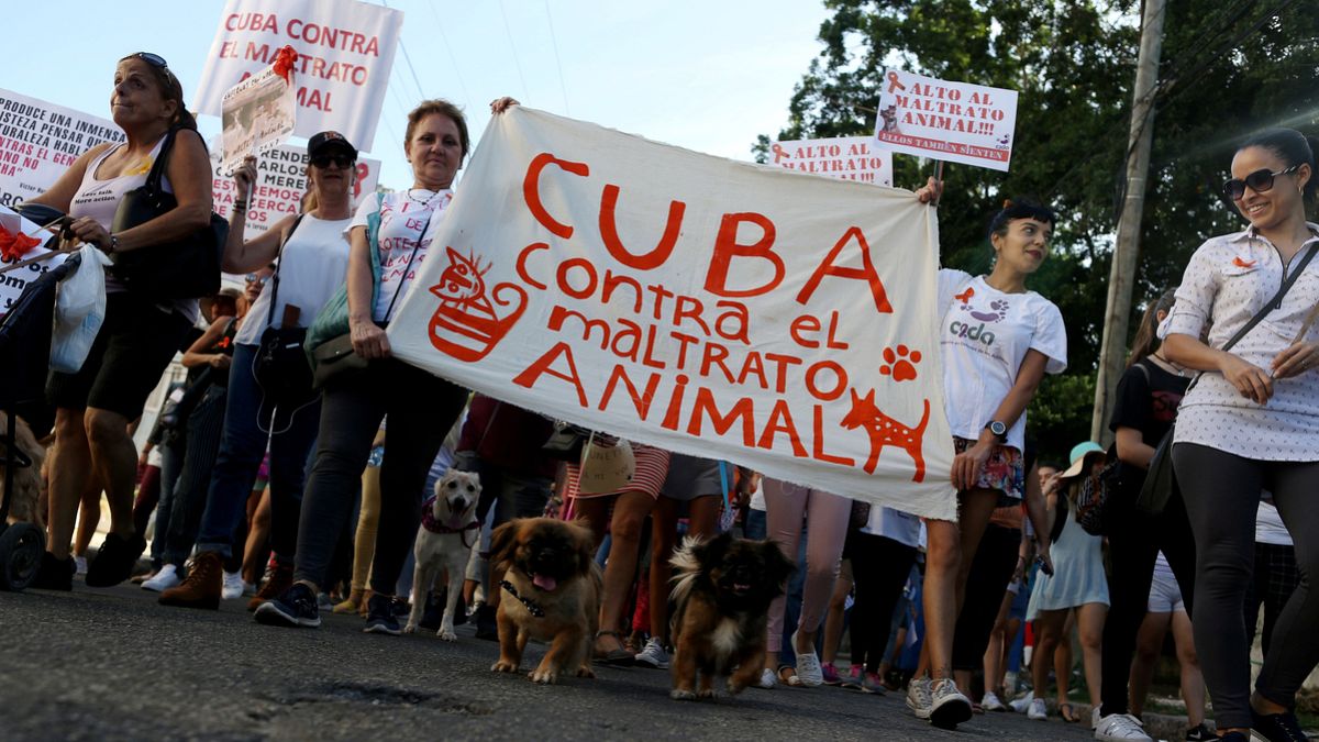 شاهد: كوبا تسمح بتنظيم مسيرة لنشطاء محبين للحيوانات