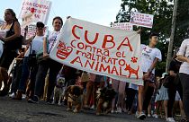 شاهد: كوبا تسمح بتنظيم مسيرة لنشطاء محبين للحيوانات