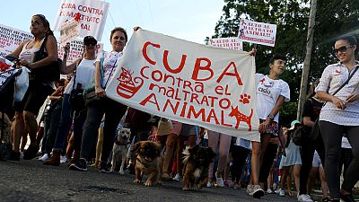 Az állatok jogaiért meneteltek Kubában