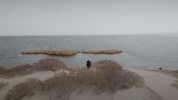 Студенты высаживают деревья, чтобы спасти Аральское море Студенты высаживают деревья, чтобы спасти Аральское море