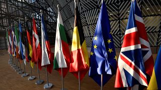 EU countries' flags in the EU Council buildings, Brussels, March 21, 2019.