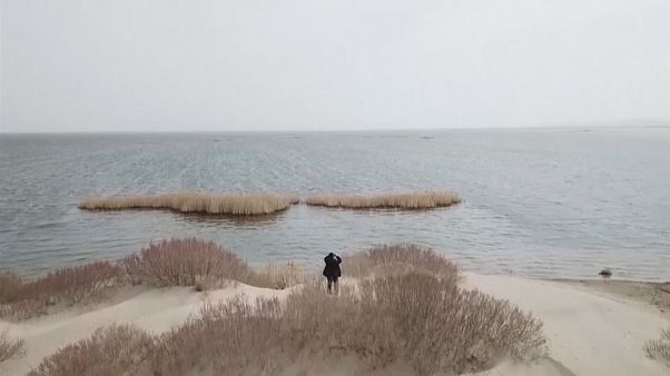 Gli studenti piantano alberi per salvare il Lago d'Aral che scompare Gli studenti piantano alberi per salvare il Lago d'Aral che scompare
