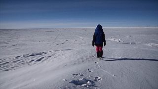 Bilim insanları Antarktika'da dünyanın en yaşlı buz kütlesinin peşine düştü