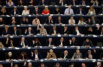 Europawahl-Stimmungsbild: Aufwärtstrend für größte Fraktionen