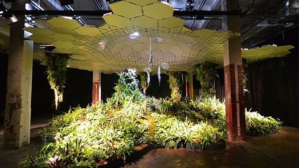 Jcbergland own work, Lowline Lab, 140 Essex St., New York, NY Jcbergland own work, Lowline Lab, 140 Essex St., New York, NY